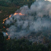 prevención y tratamiento de incendios forestales